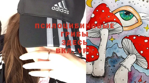 гидра Бугульма