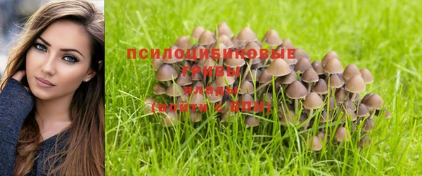 ECSTASY Верея